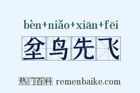 坌鸟先飞是什么意思的图片
